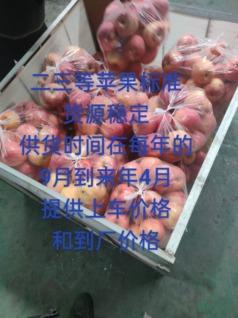 辽宁沙地苹果寒富苹果产地货源保证质量代发代购
