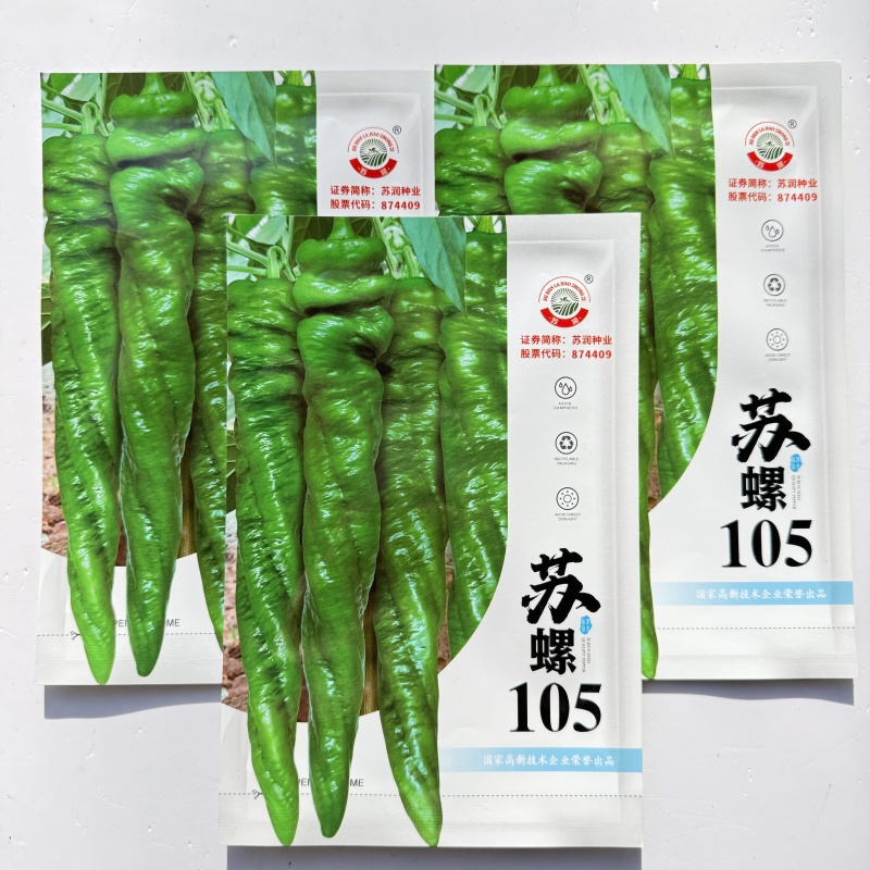 苏螺105螺丝椒种子大果高产全螺旋肉厚香辣螺丝椒种子大田