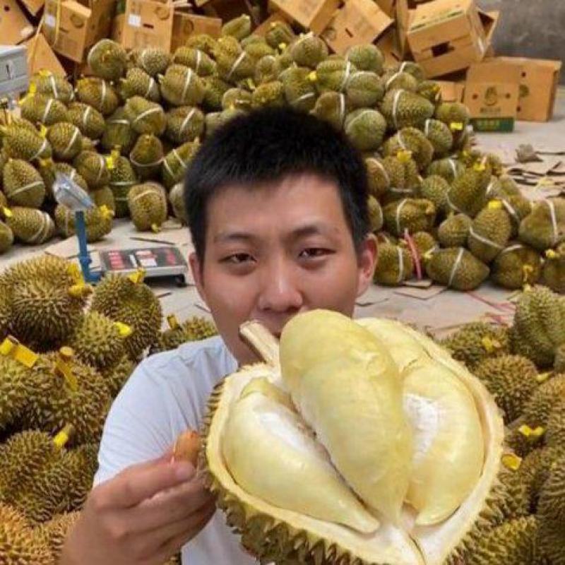 金枕榴莲一手批发价格，A果保5房，坏果包赔