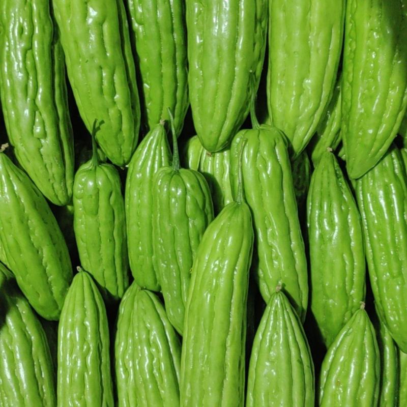 油苦瓜