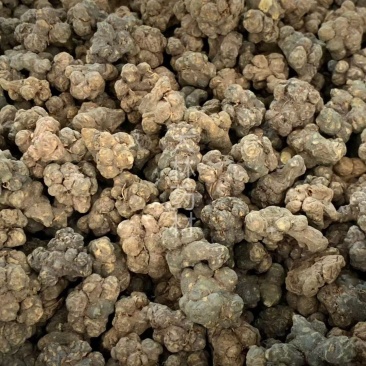 夏天无【包邮】三斤起发货可批量可零售量大从优