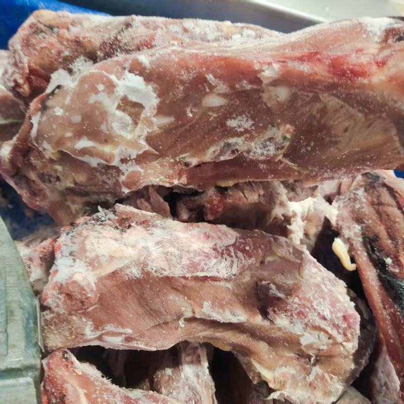 满肉乳牛脖骨