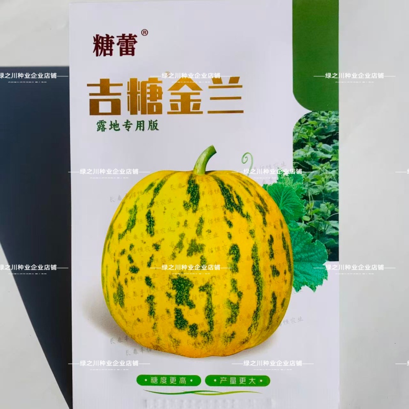 露地专用版吉糖金兰甜瓜种子花皮绿肉高糖杂交八里香甜瓜种子