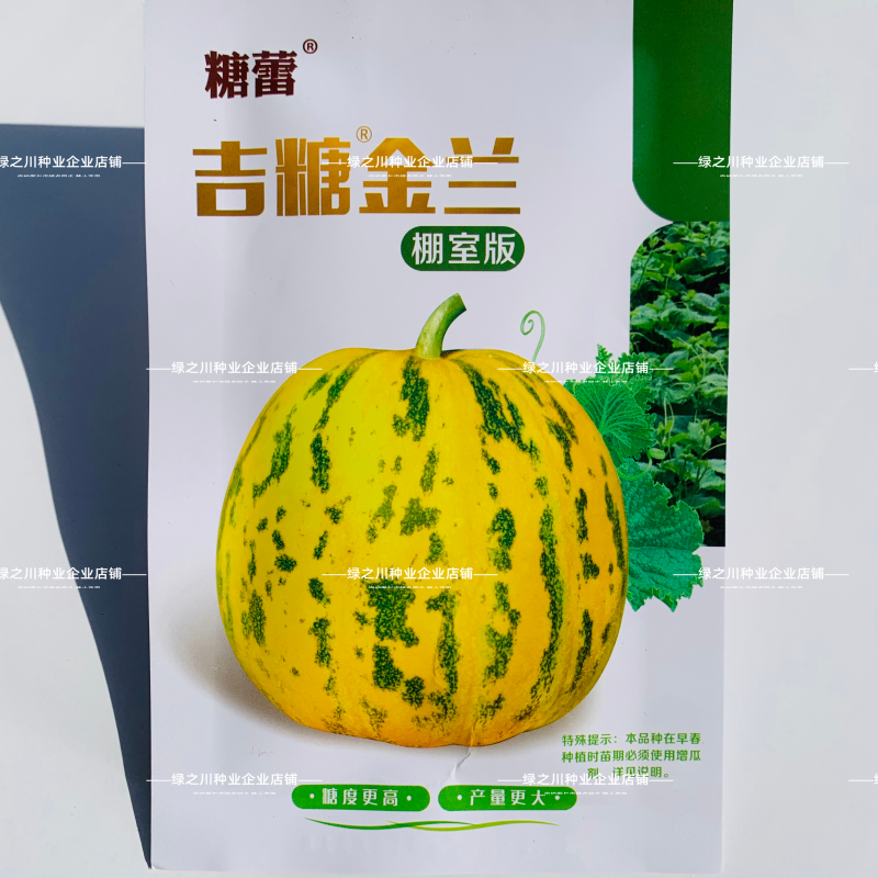 露地专用版吉糖金兰甜瓜种子花皮绿肉高糖杂交八里香甜瓜种子