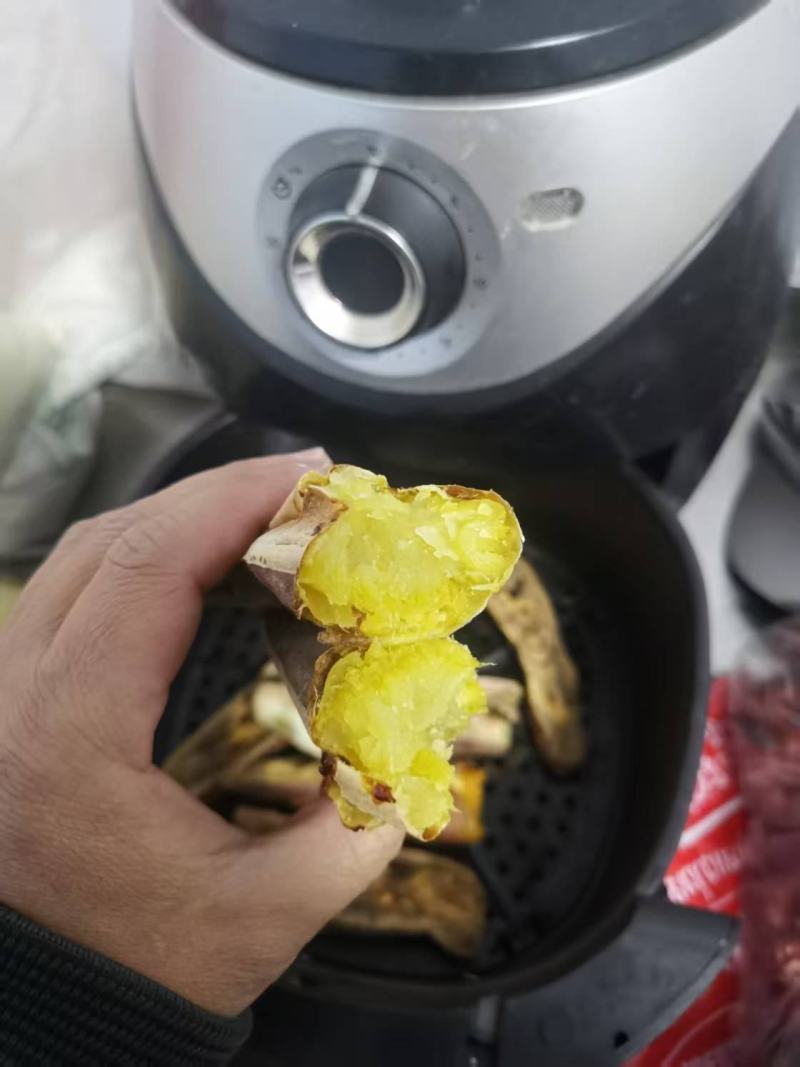 内蒙烟薯25-衡水市饶阳县大库800万斤