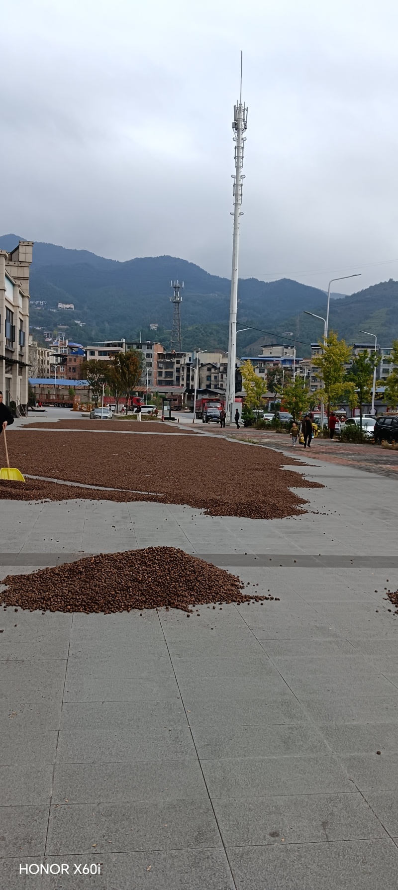 山茶油