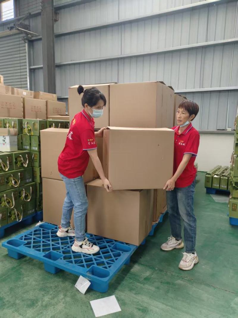 正宗星油藤红茶滋味醇厚厂家直发量大价优欢迎致电