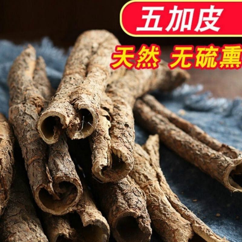 中药材五加皮香五加皮南五加皮北五加皮各种规格批发零售