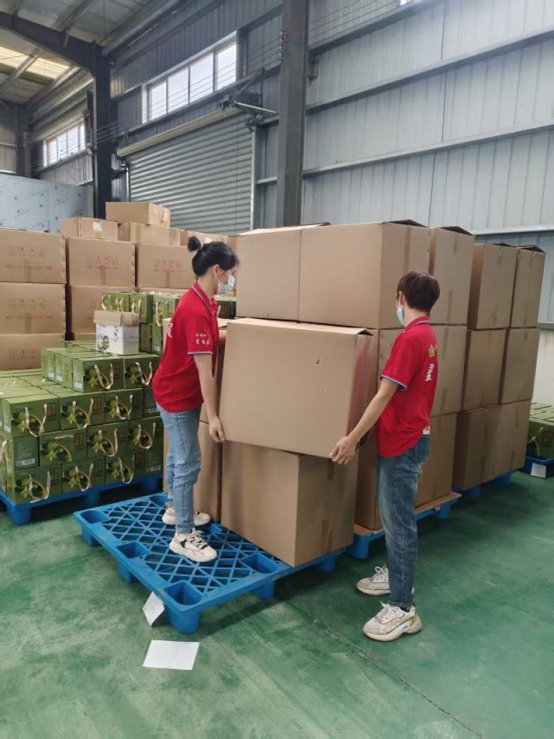 广西特色星油藤红茶口感醇厚厂家直发可对接电商商超