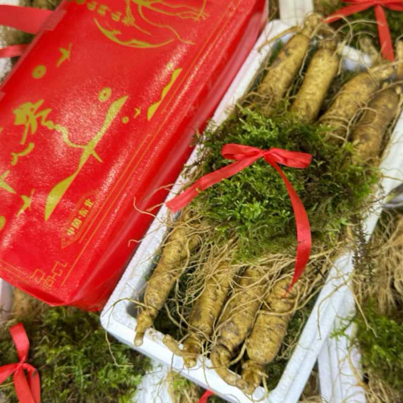 精品长白山鲜人参一斤8支左右质量嘎嘎好