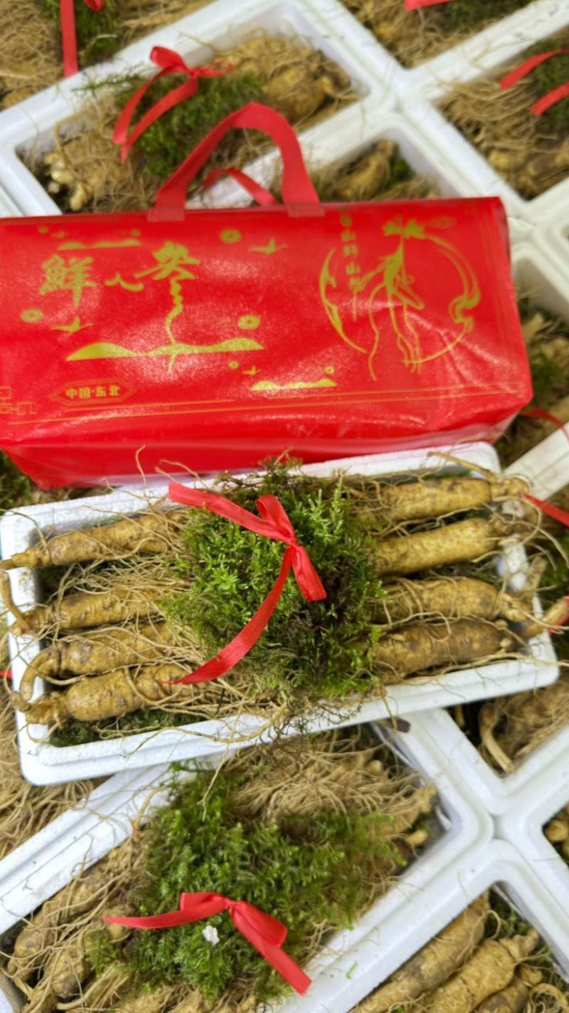 精品长白山鲜人参一斤8支左右质量嘎嘎好