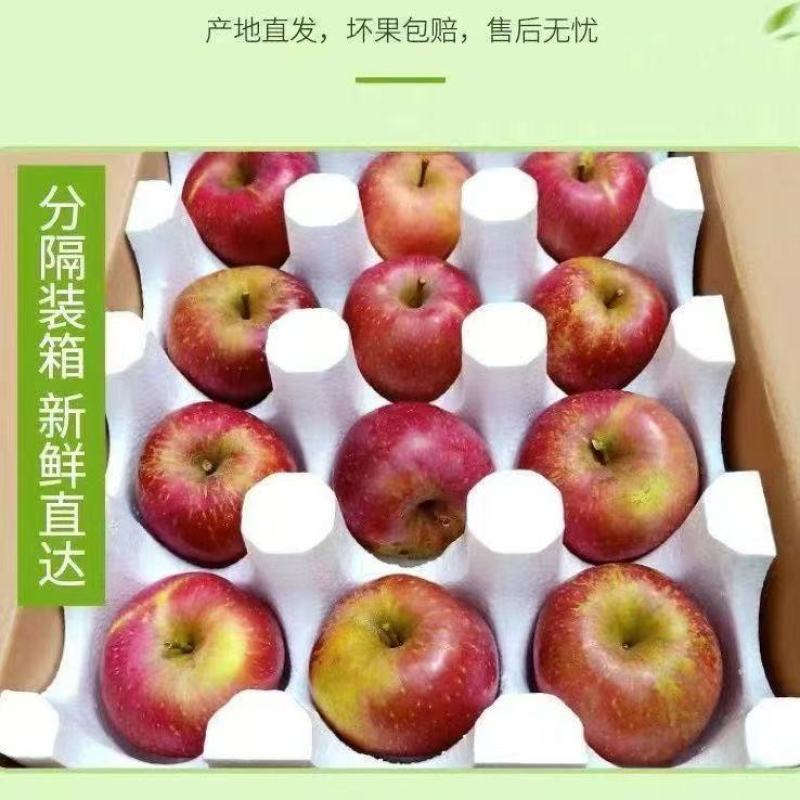 云南高山丑苹果，糖心苹果。
