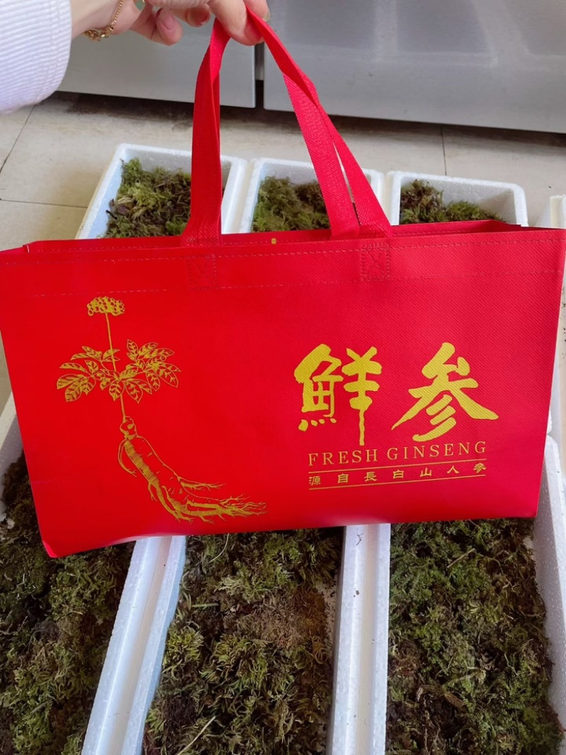 长白山精品鲜人参单支三两以上大货嘎嘎新鲜