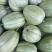 芝麻蜜甜瓜种子芝麻脆瓜种籽绿皮橙肉春秋季水果香瓜种