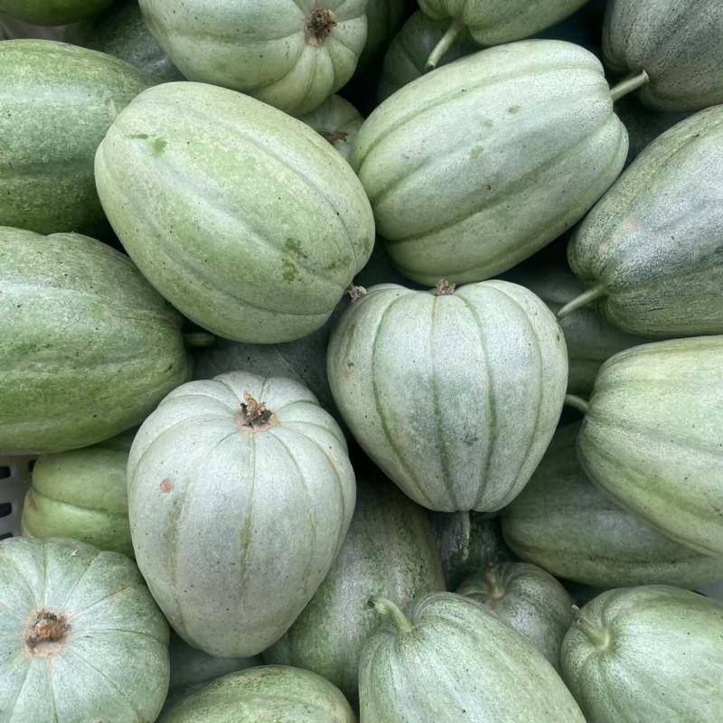 芝麻蜜甜瓜种子芝麻脆瓜种籽绿皮橙肉春秋季水果香瓜种