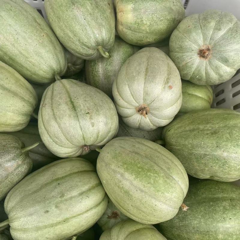 芝麻蜜甜瓜种子芝麻脆瓜种籽绿皮橙肉春秋季水果香瓜种