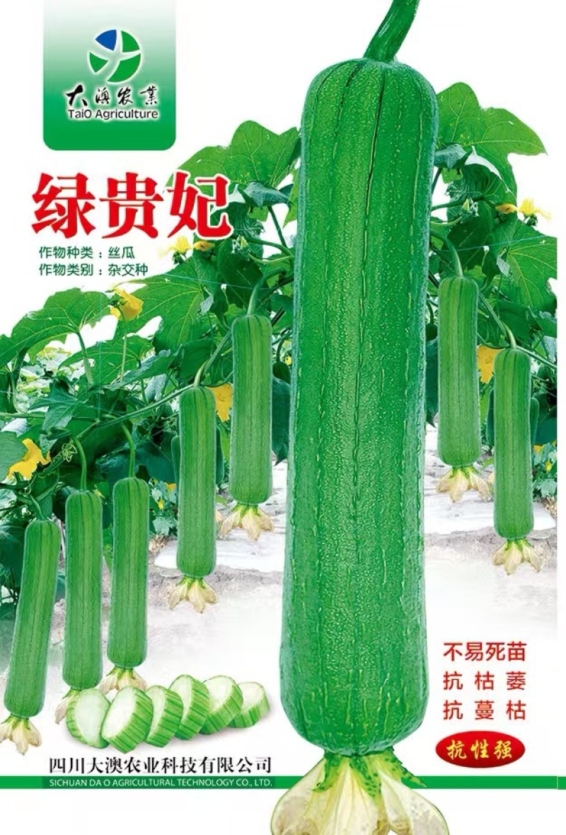 丝瓜种子绿贵妃中棒肉丝瓜早熟挂果多翠绿品质好抗枯萎