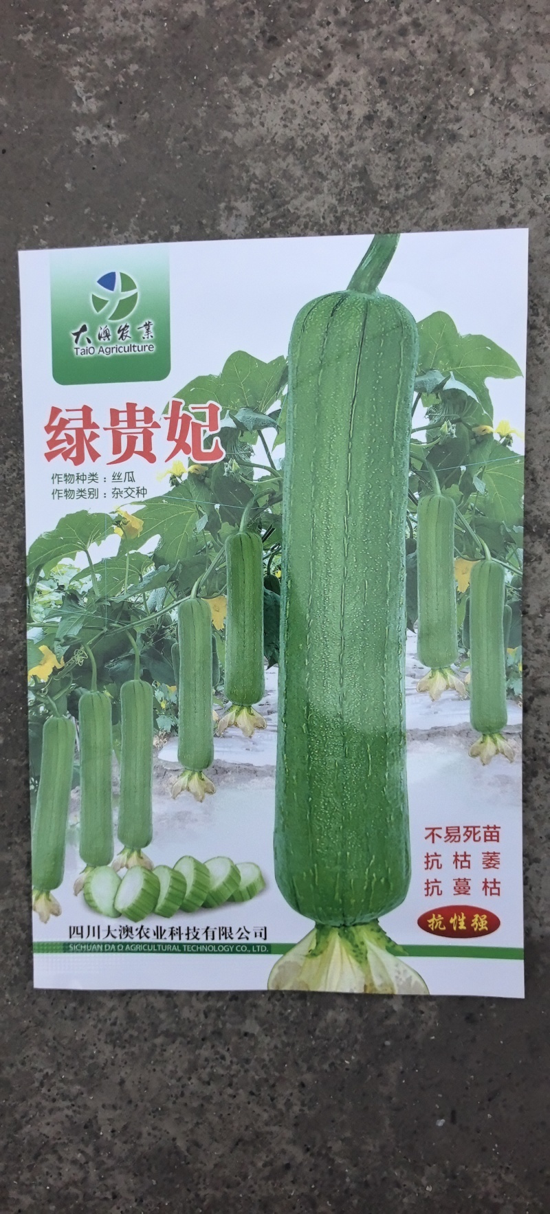 丝瓜种子绿贵妃中棒肉丝瓜早熟挂果多翠绿品质好抗枯萎