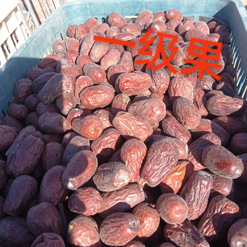 新疆和田大枣