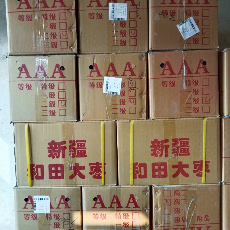 新疆和田大枣
