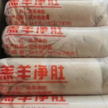 羔羊净肚