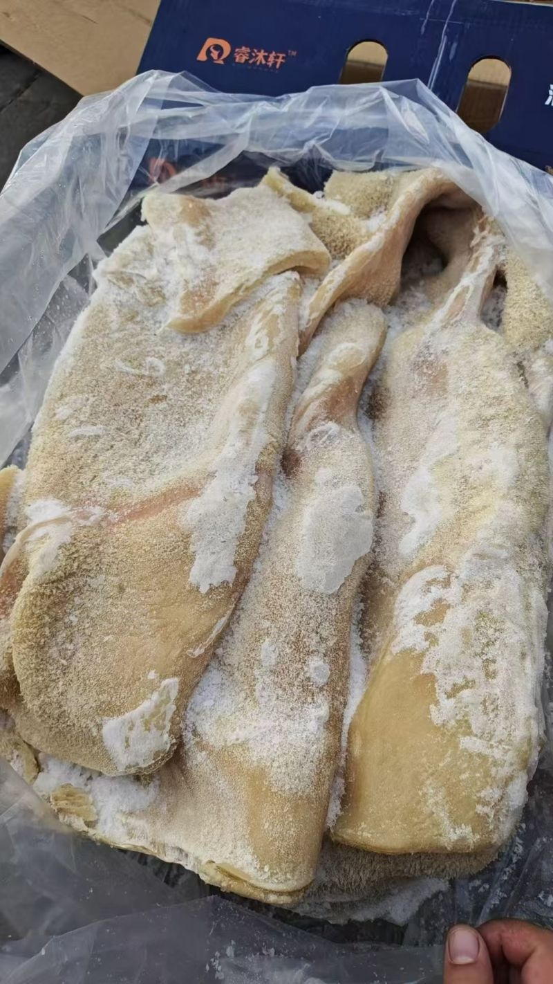 精品牛大肚带金钱肚