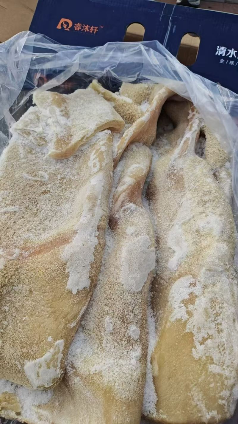 精品牛大肚带金钱肚