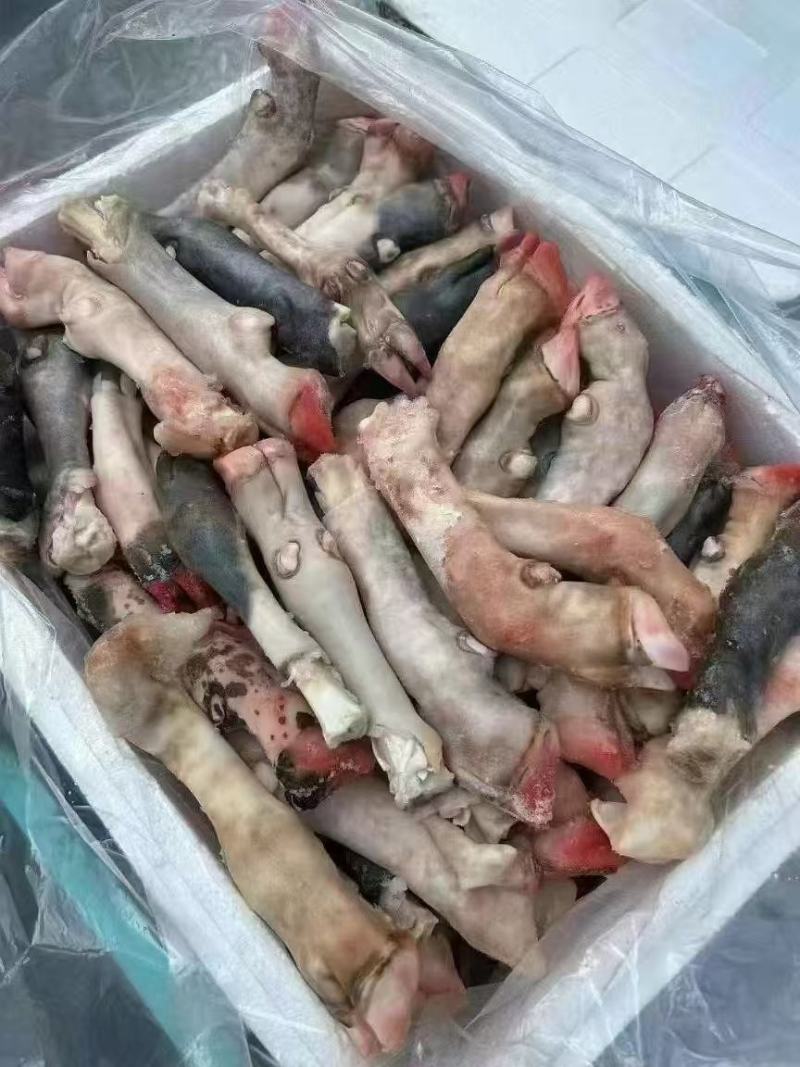 花羊蹄
