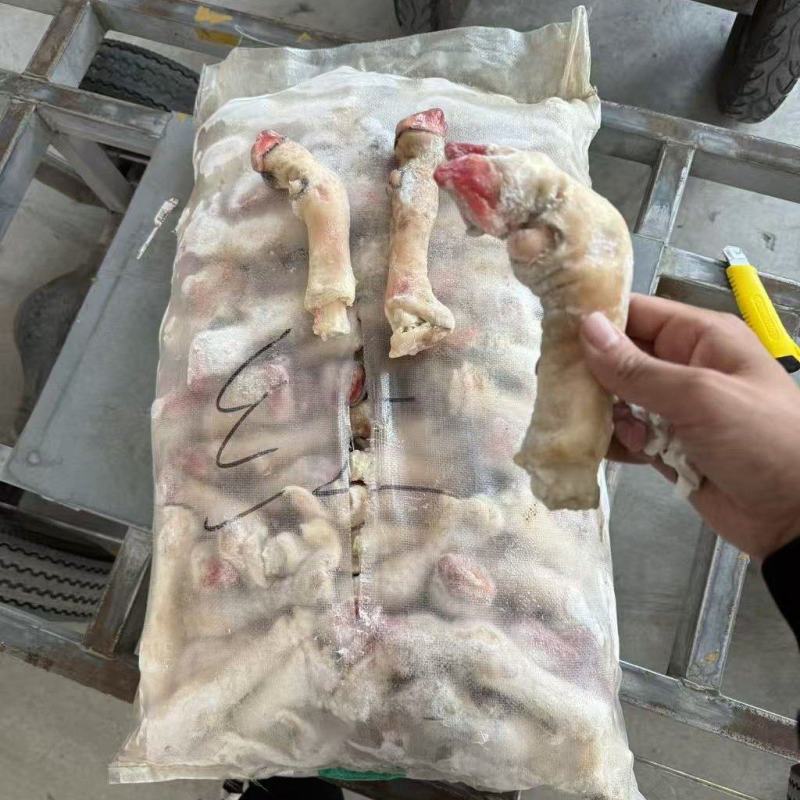 红羊蹄