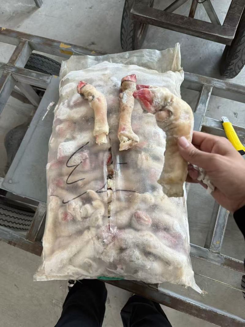 红羊蹄