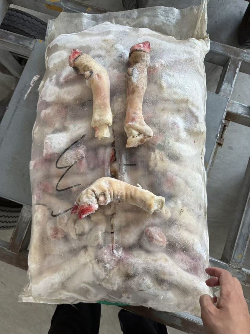 红羊蹄