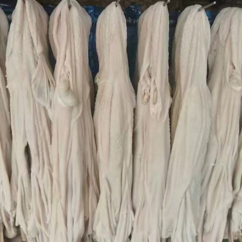 生羊净肚