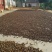 正宗茶籽油自家种植非常纯正，又新鲜，
