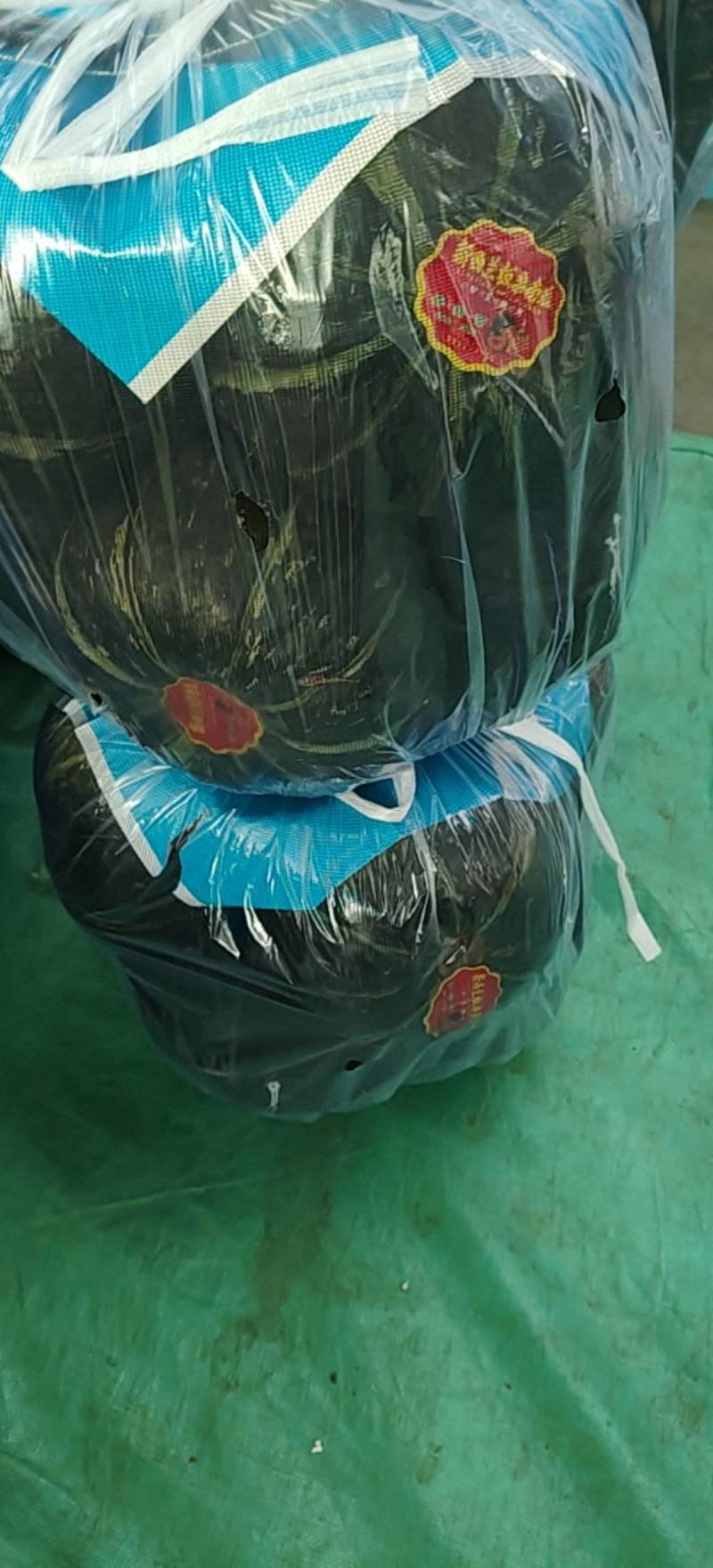 板栗南瓜大量现货对接加工厂批发市场出口贸易