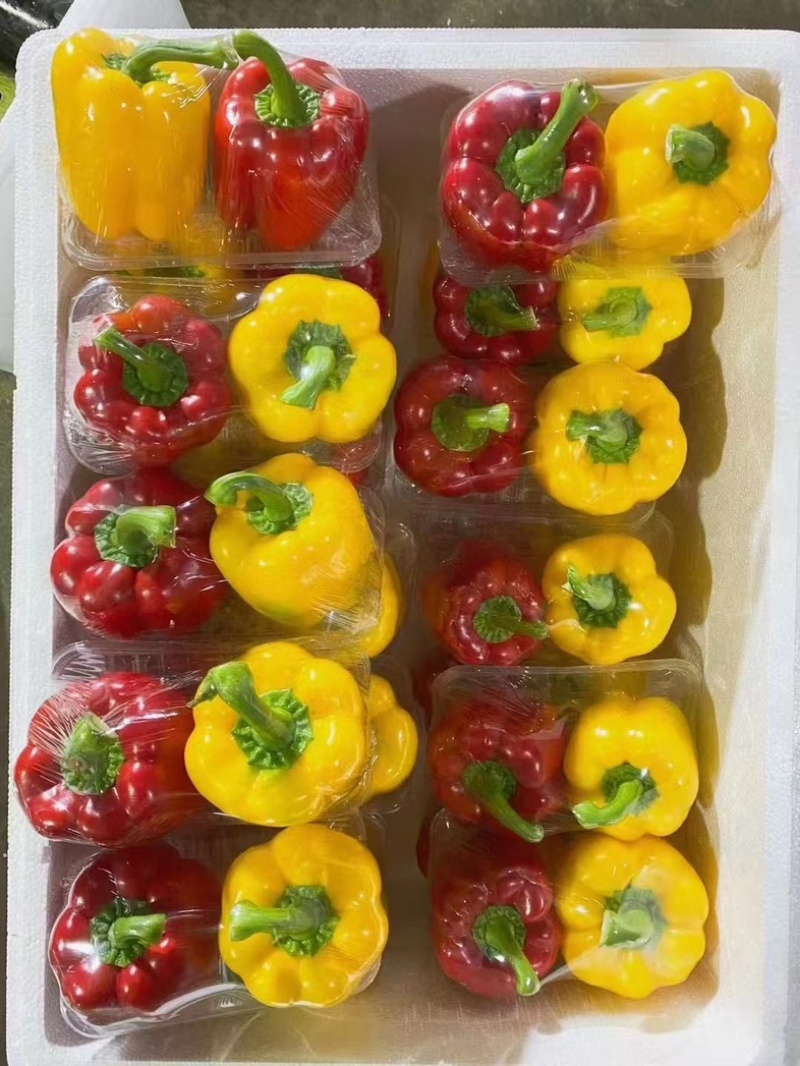 寿光套菜，蔬菜礼包，市场商超团购单位福利，大仓库，现货