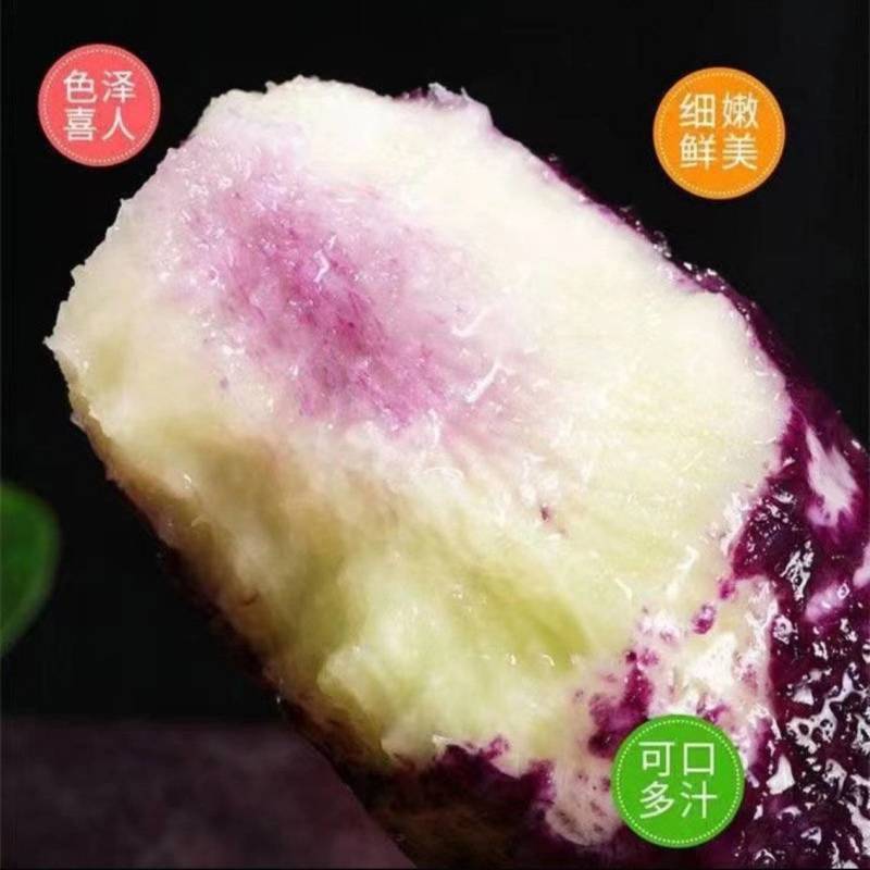 冰激凌萝卜
