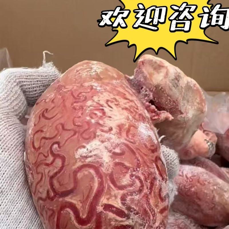 精品牛宝