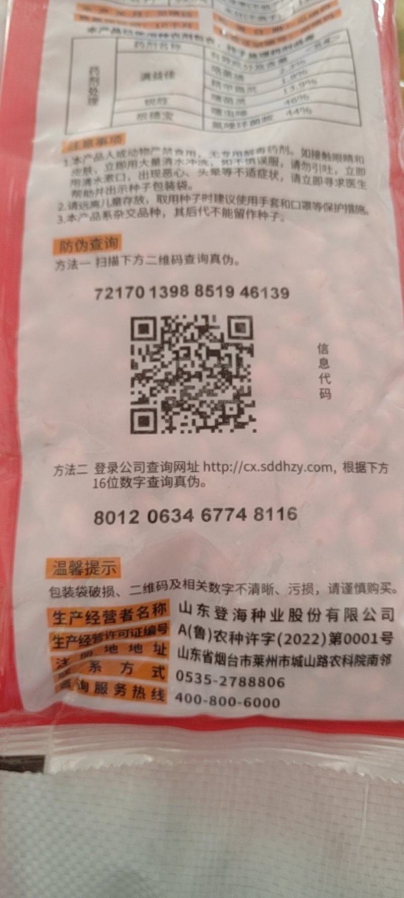 登海605玉米种子国审红轴大棒子轴细粒深抗病抗倒产量高