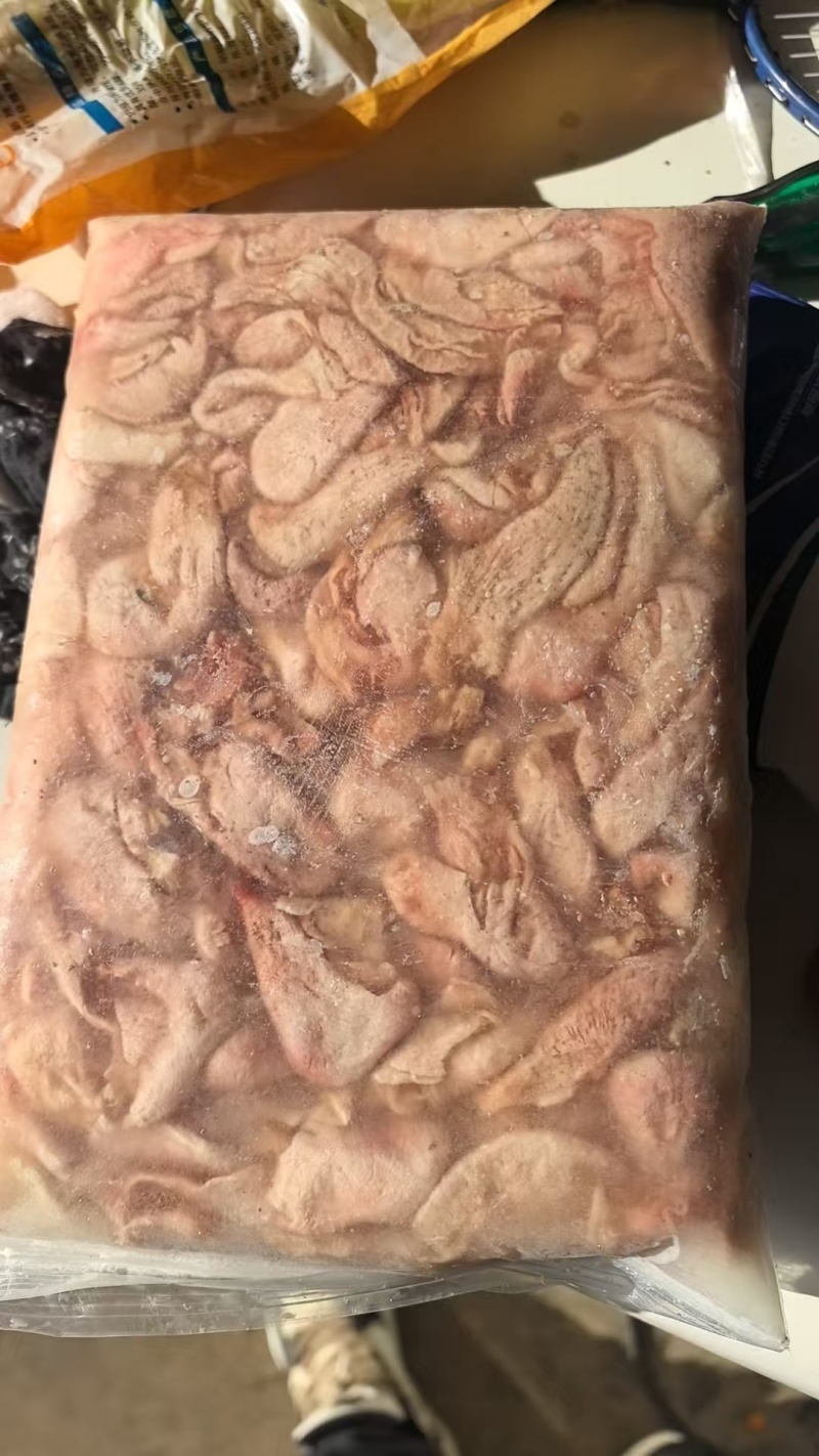 清江鱼肚已剪开去腥