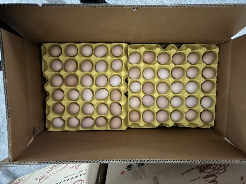 精品双色新杨黑，蒸炒煮蛋黄金黄色，产地直发，一手货源
