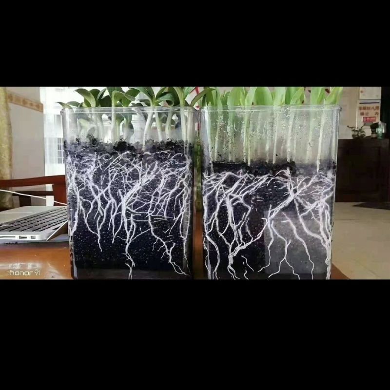海藻鱼蛋白桶肥，生产厂家发货，量大优惠