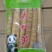 水尾大竹笋常年供应视频看货对接电商团购市场