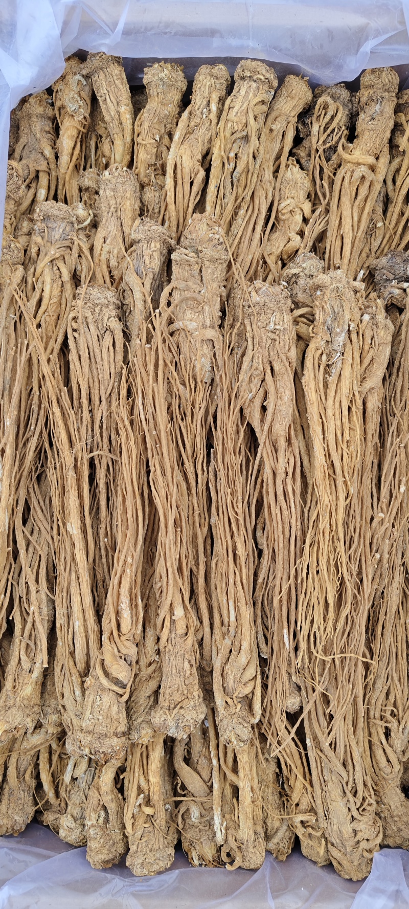 岷县当归品质保证服务周到产地直发价格美丽欢迎联系