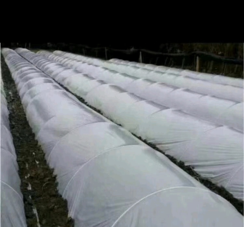 玻璃钢纤维弓子小棚支架，蔬菜大棚简易小拱棚