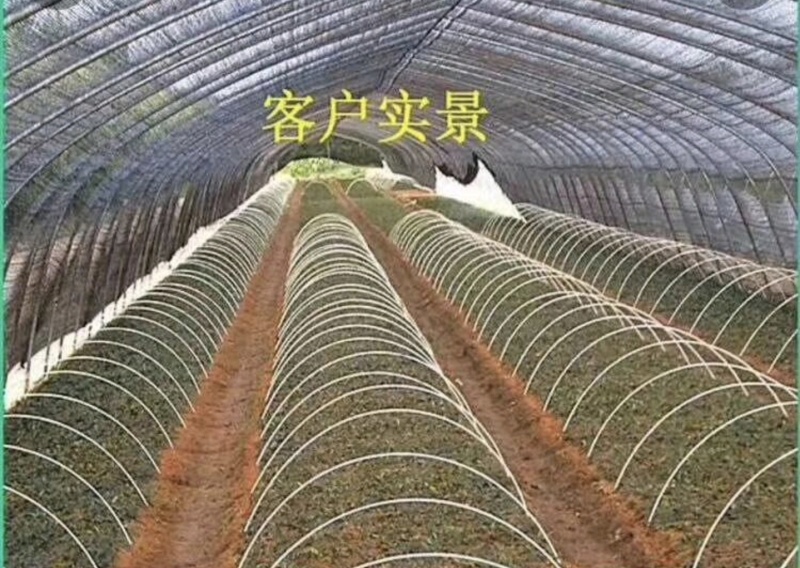 玻璃钢纤维弓子小棚支架，蔬菜大棚简易小拱棚