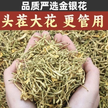 严选金银花大量上市，欢迎进店选购，全国发货，需要的联系