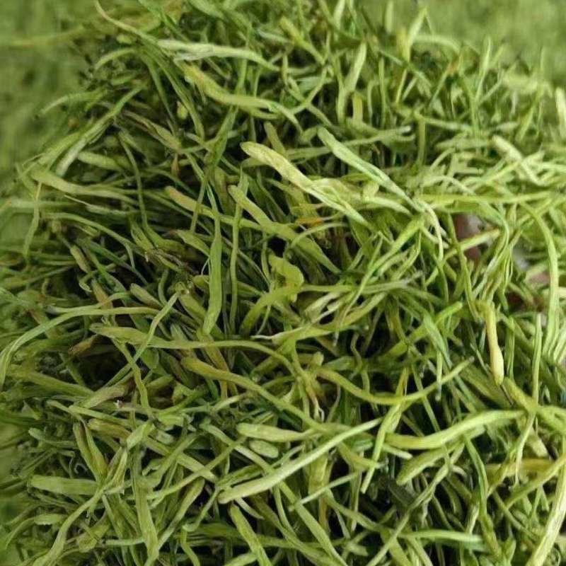 严选金银花大量上市，欢迎进店选购，全国发货，需要的联系