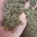 蒲公英种子大量上市，全国各地发货，种植地精选