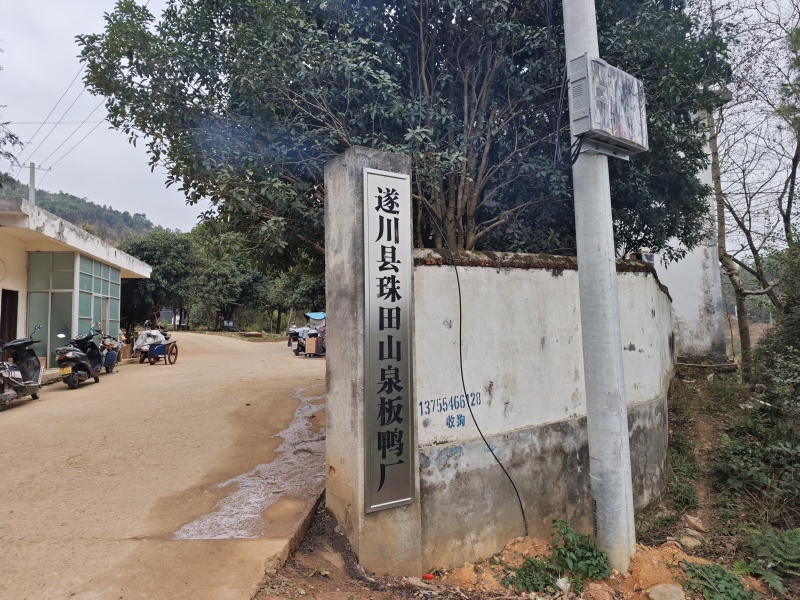 遂川板鸭源头厂家，大牌子，吃的健康放心