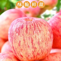 红富士冰雹光果，大量上市，全国发货，欢迎进店沟通